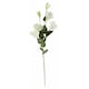 image 2 of 70cm Grey Glass Vase Artificial Orchids and Roses
