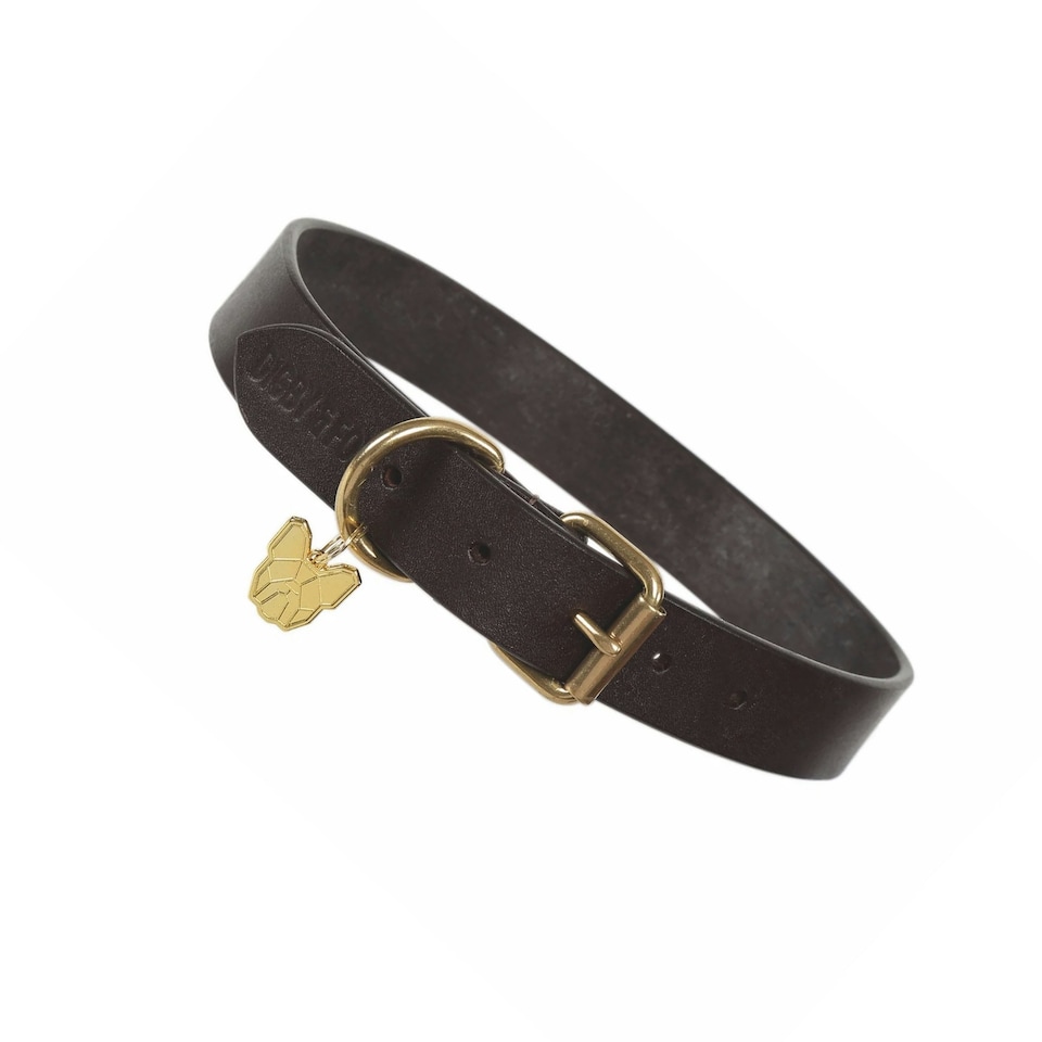 image 1 of Digby & Fox Flat Leather Dog Collar - Brown - XXXS - Neckline: 5.5in-8.5in