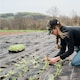 image 3 of Pegdev Polywoven Groundcover Fabric 1m Width Weed Control Tear-Resistant Permeable 45m