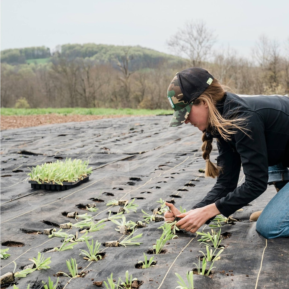 image 1 of Pegdev Polywoven Groundcover Fabric 1m Width Weed Control Tear-Resistant Permeable 45m