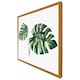 image 5 of Twin tropical leaves (Picutre Frame) White | XS