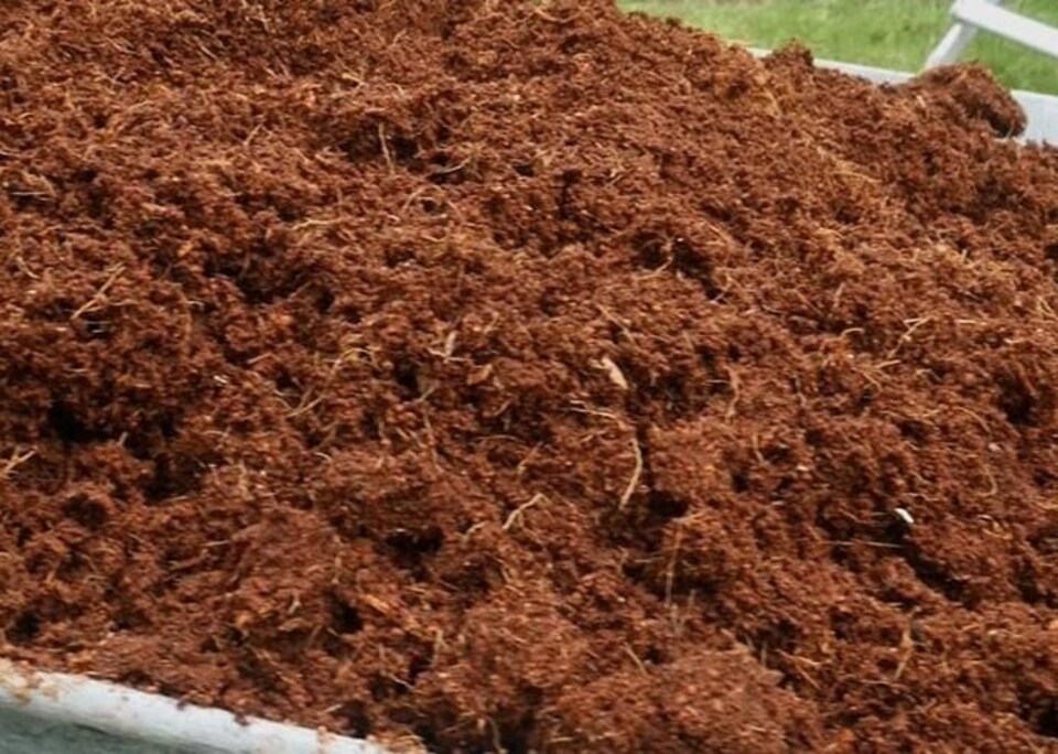 image 1 of Dihl 5KG Organic Coconut Coco Coir Fibre Compost Block Bricks, Expands to 70 Litres, 100% Natural Compressed Peat-Free Garden Growing Medium, Seedling Potting Bedding Soil, pH Balanced