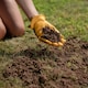 image 7 of Westland Lawn & Turf Dressing - 25L