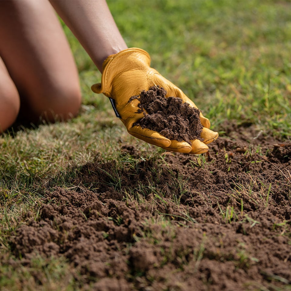 image 1 of Westland Lawn & Turf Dressing - 25L