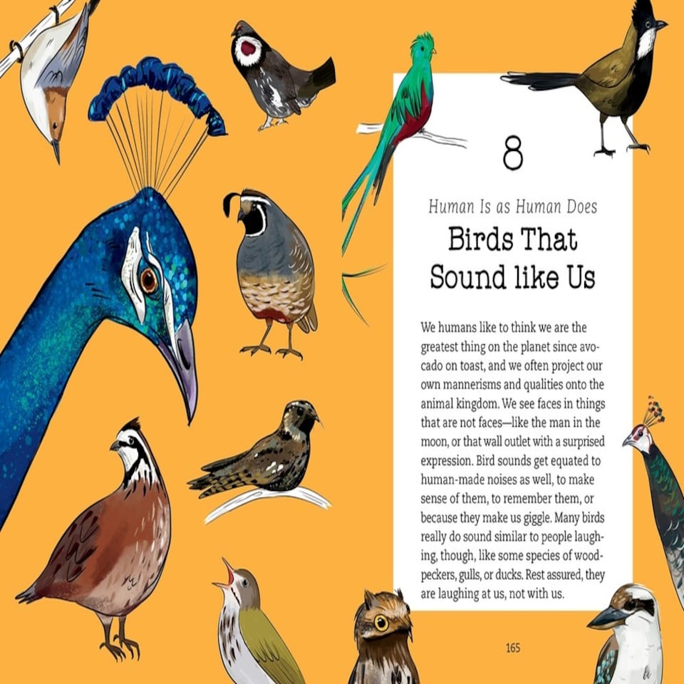 image 1 of Bird Talk Humour Gift Book