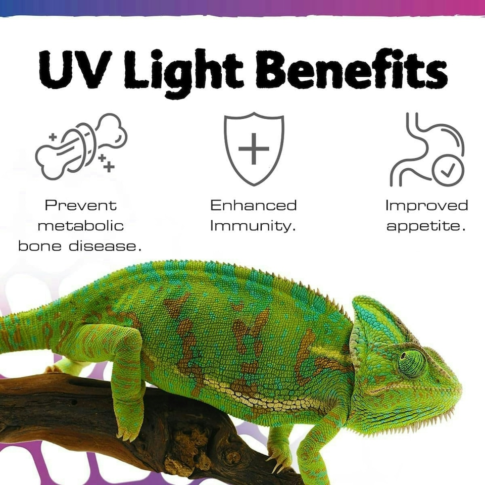 image 1 of Exo Terra Reptile UVB LED Spot 3W