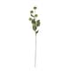 image 1 of Hill Interiors Globe Thistle Spray Artificial Flower - Green - 81cm x 18cm x 18cm