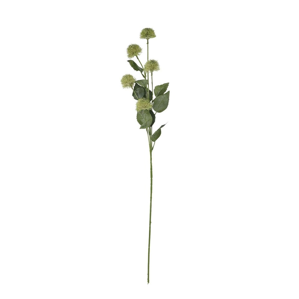 image 1 of Hill Interiors Globe Thistle Spray Artificial Flower - Green - 81cm x 18cm x 18cm