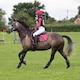 image 8 of Shires ARMA Hyde Park Saddlecloth - Young Rider N/A | Size: 17-18 Inch
Colour: Doodle