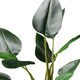 image 4 of 78Cm Real Touch Bird Of Paradise in Black Plastic Pot Green | One Size