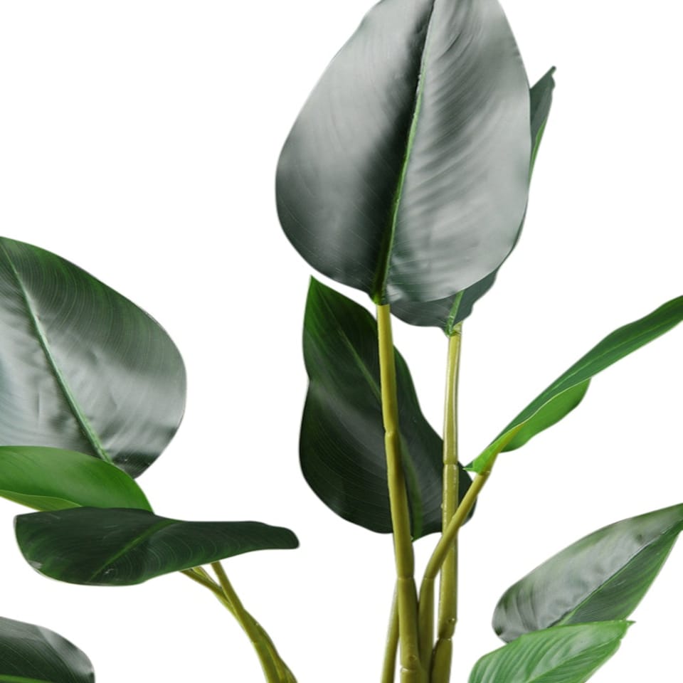 image 1 of 78Cm Real Touch Bird Of Paradise in Black Plastic Pot Green | One Size