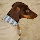 image 4 of Joules Sandshell Large Dog Raincoat