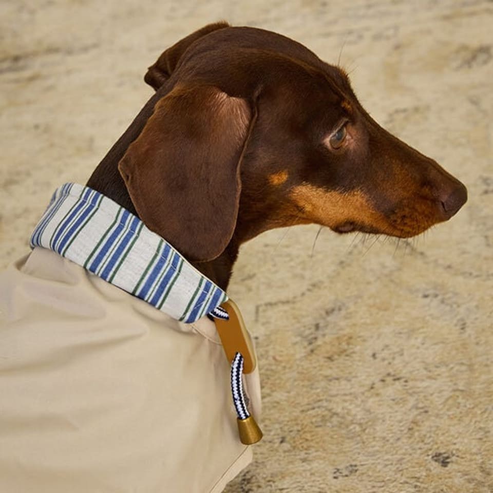 image 1 of Joules Sandshell Large Dog Raincoat