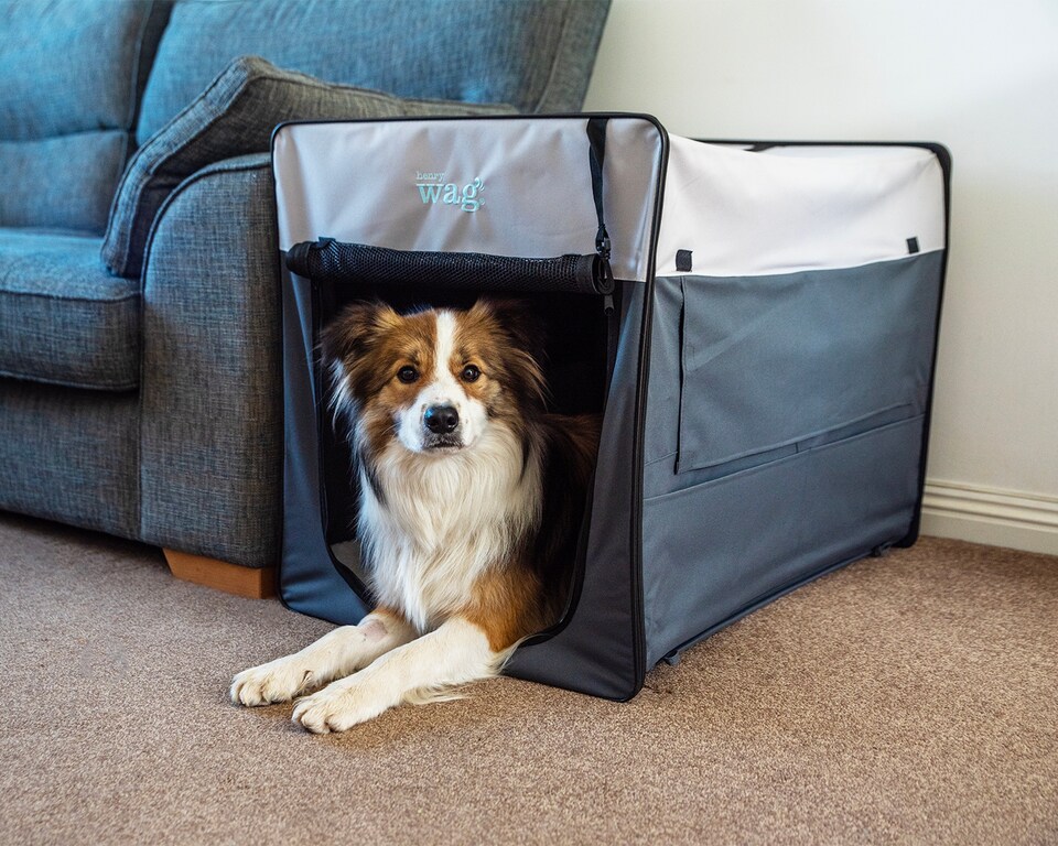 image 1 of Henry Wag Folding Fabric Travel Crate, Perfect For Home, Outdoor Use, Or Travel, Size Large | Grey | Grey | Large | 1