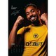 image 3 of Wolverhampton Wanderers FC 2025 A3 Wall Calendar - Black/Yellow - One Size