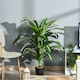 image 2 of Outsunny 110cm/3.6FT Artificial Dracaena Plant Fake Tree Potted Home Office