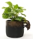 image 5 of Lemur and Pup Plant Pot Hanger | Bronze