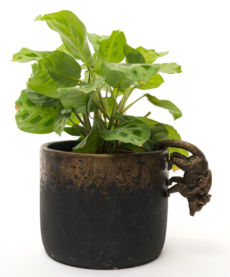 image 1 of Lemur and Pup Plant Pot Hanger | Bronze