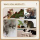 image 9 of PawHut Cat Tree for Indoor Cats, 135cm Scratching Post Climbing Tower, Beige