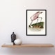 image 4 of Roseate Spoonbill Couaihac Vintage Framed Wall Art Print 12X16"