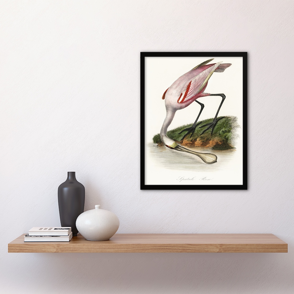 image 1 of Roseate Spoonbill Couaihac Vintage Framed Wall Art Print 12X16"