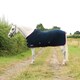 image 2 of Hy DefenceX Horse Cooler Rug - Navy/Red - 5´