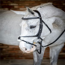 LeMieux Grackle Bridle Black | Cob