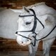 image 1 of LeMieux Grackle Bridle Black | Cob