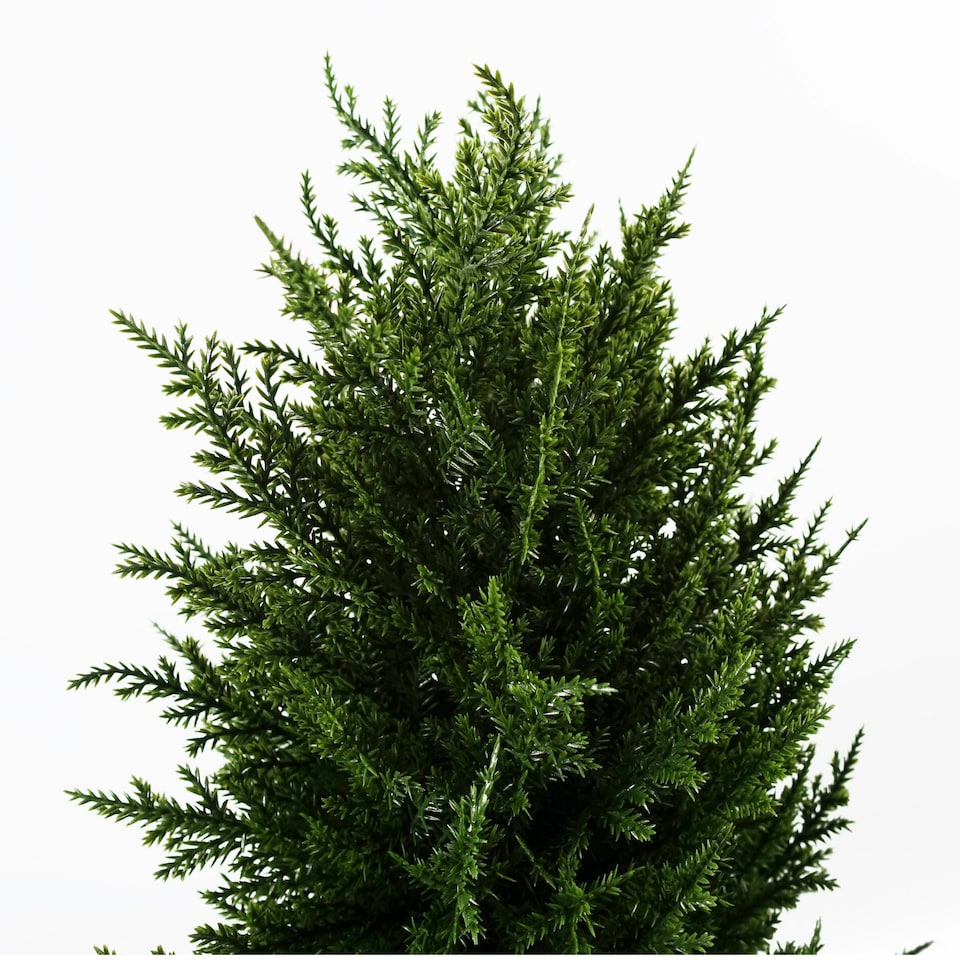 image 1 of 120cm Premium Artificial Spiral Cypress Topiary Tree
