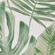 image 5 of D & D Tahiti Outdoor Cushion Cover Green