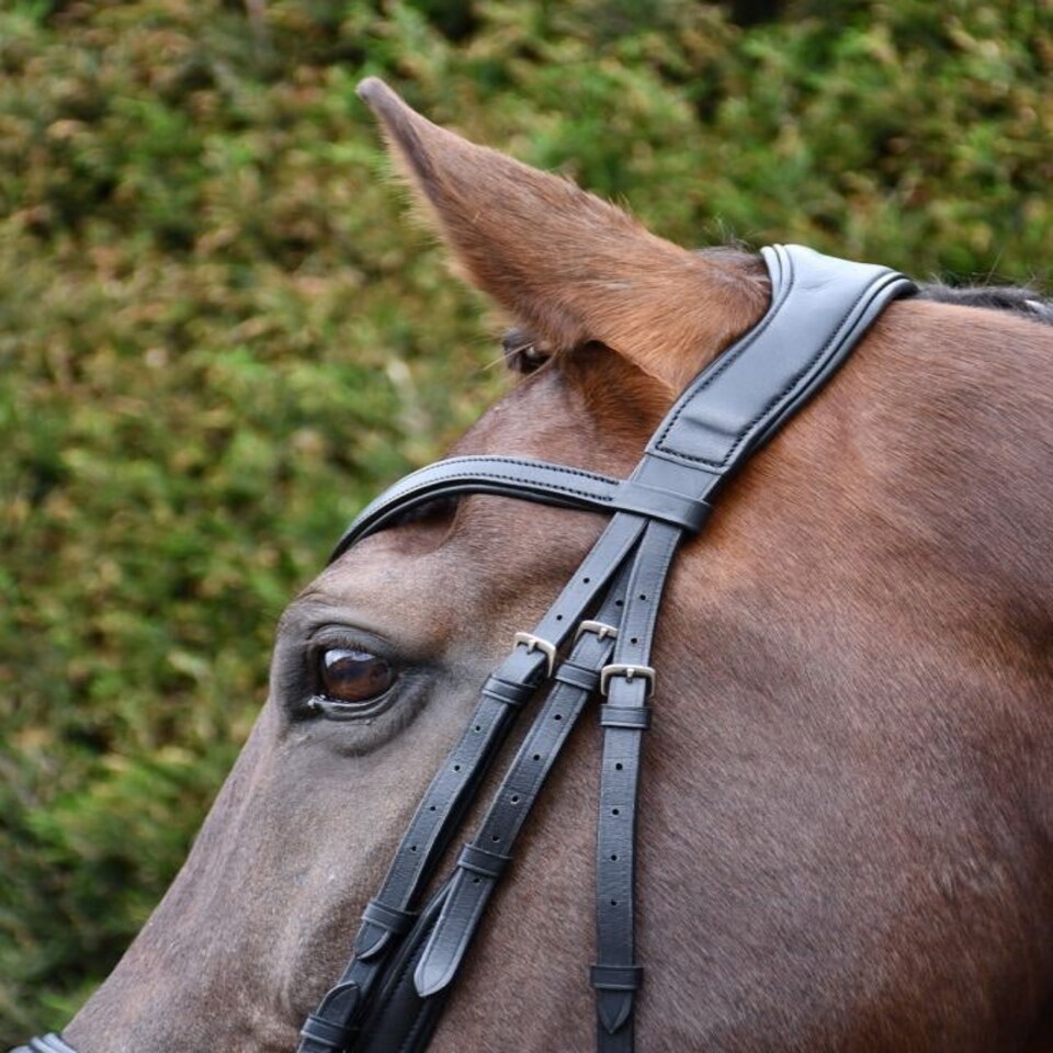 image 1 of Rhinegold Softee Pro-Anatomic Flash Bridle Brown | Size: X-Full
Colour: H.Brown