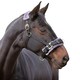image 2 of Shires Fleece Lined Plush Horse Lunge Cavesson - Black - Pony