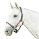 image 1 of Kincade Leather Rope Headcollar - Burgundy/Brown - Cob