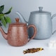 image 4 of Café Olé Premium Granite Teapot, 48oz / 1360ml, Stainless Steel, Red Granite Finish