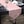 Dusky Pink