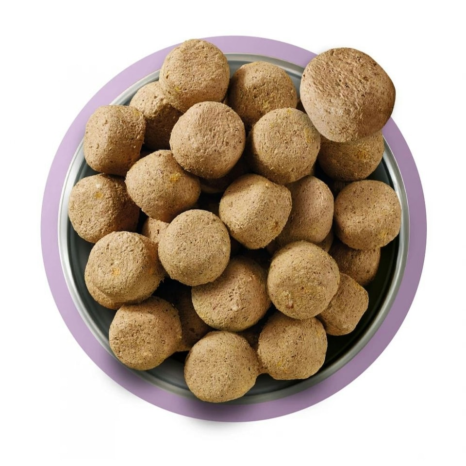 image 1 of Natures Menu Raw Freeze Dried Turkey Dog Food 120g (Bundle of 3)
