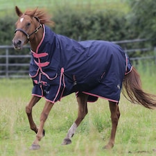 Gallop Equestrian Trojan 50 Combo Turnout Pink | Size: 7ft 0
Colour: Navy/Pink