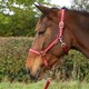 image 2 of Hy Glitter Horse Headcollar and Leadrope - Burgundy - Pony