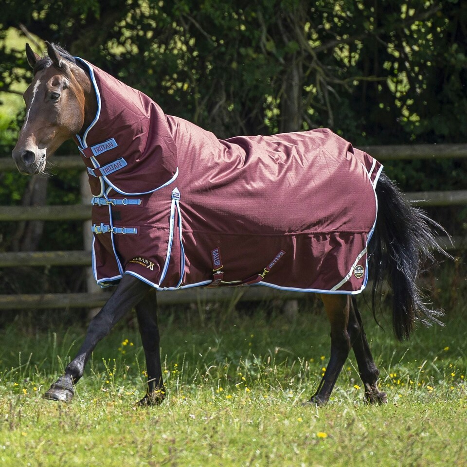 image 1 of Gallop Equestrian Trojan Xtra 350 Turnout Combo Red | Size: 4ft 9
Colour: Burgundy