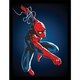 image 1 of Spider-Man (Web Line 2) Framed 30x40cm Print