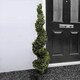 image 4 of Primrose Artificial Grass Topiary Spiral Design Bush 120cm