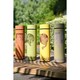 image 4 of Naturecraft Turtle 500ml Reusable Bottle Evergreen Green | Evergreen | 500ml