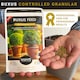 image 2 of Buxus Feed Controlled-Release Fertiliser Plant Food Box Hedges & Topiary Easy-Apply Granules for Dense Healthy Growth 120g Pouch