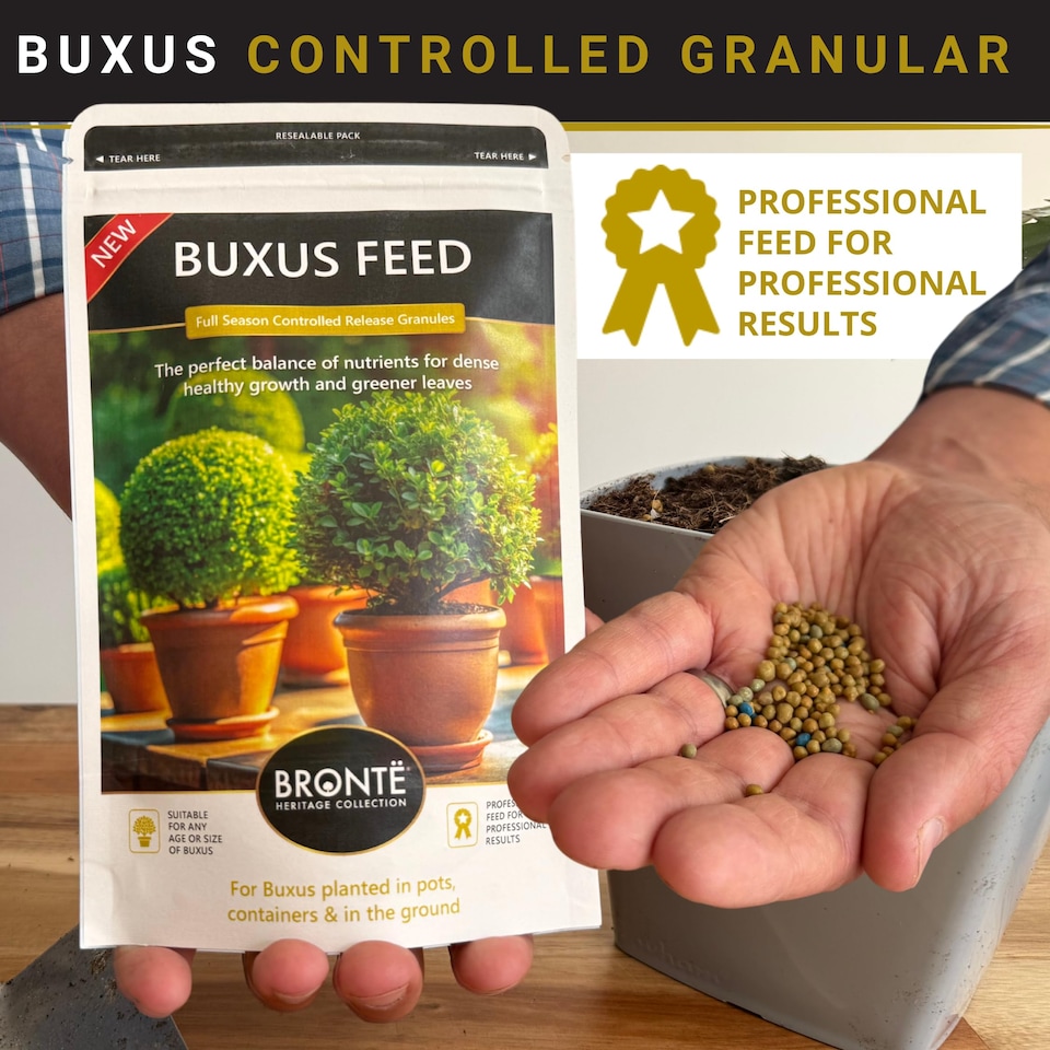 image 1 of Buxus Feed Controlled-Release Fertiliser Plant Food Box Hedges & Topiary Easy-Apply Granules for Dense Healthy Growth 120g Pouch