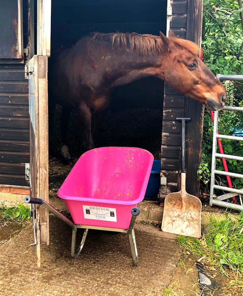 image 1 of Big Mucker Wheelbarrow Pink With 120kg, Strong Deep Plastic Pan, Twin Handles, Pneumatic Wheel