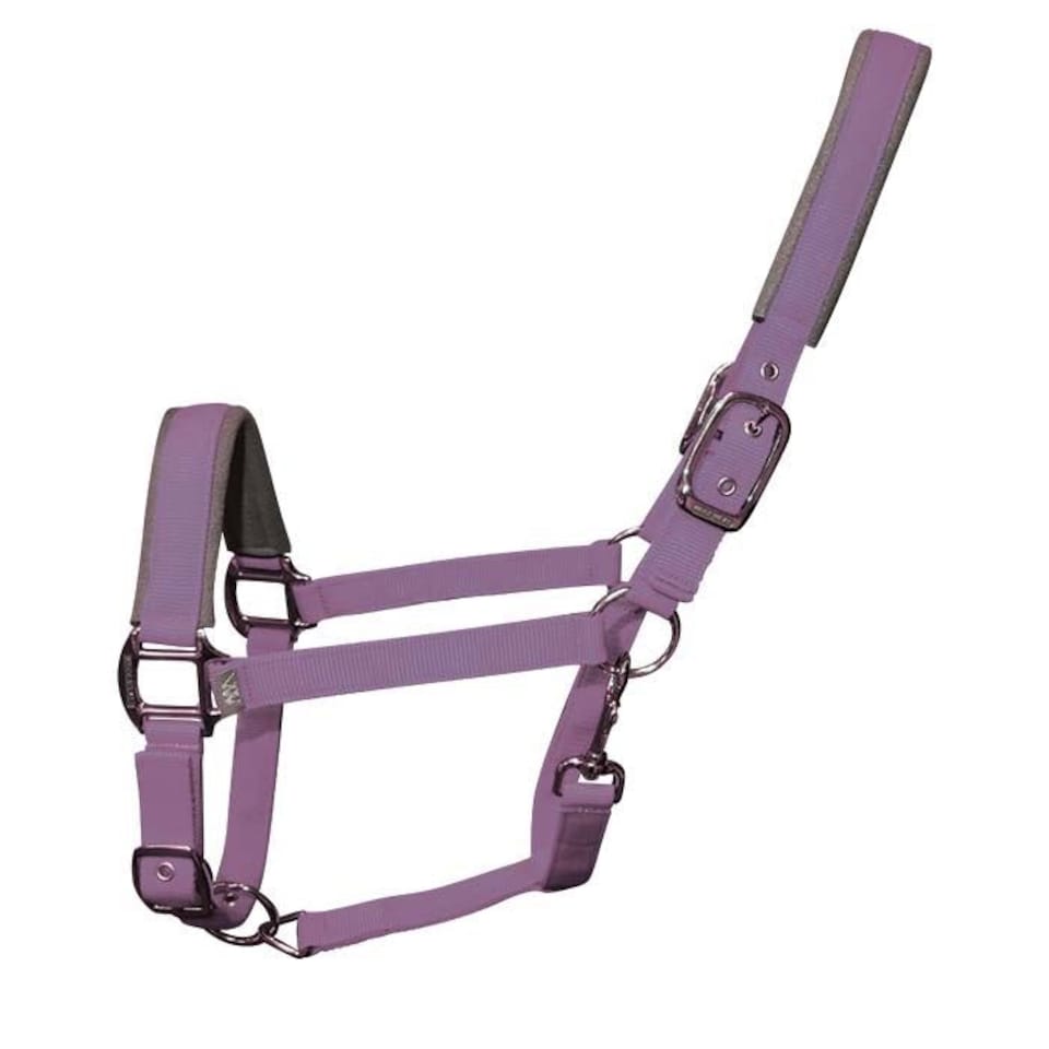 image 1 of Woof Wear Contour Head Collar Blue | Size: Cob
Colour: Shiraz/Navy