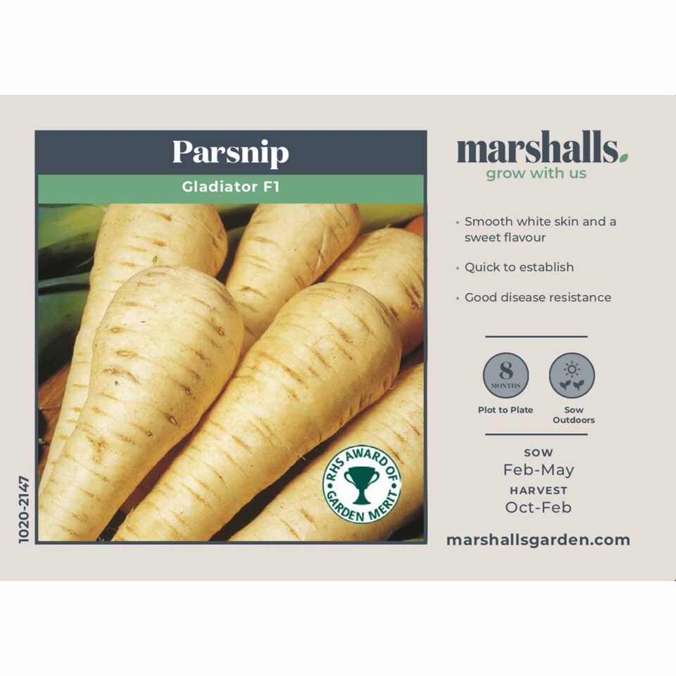 image 1 of Marshalls Garden Parsnip Seeds Gladiator F1 600 seeds