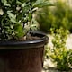 image 5 of Primrose Garden Round Flower Pot Recycled Planter Black 35 x 54 x 54 cm