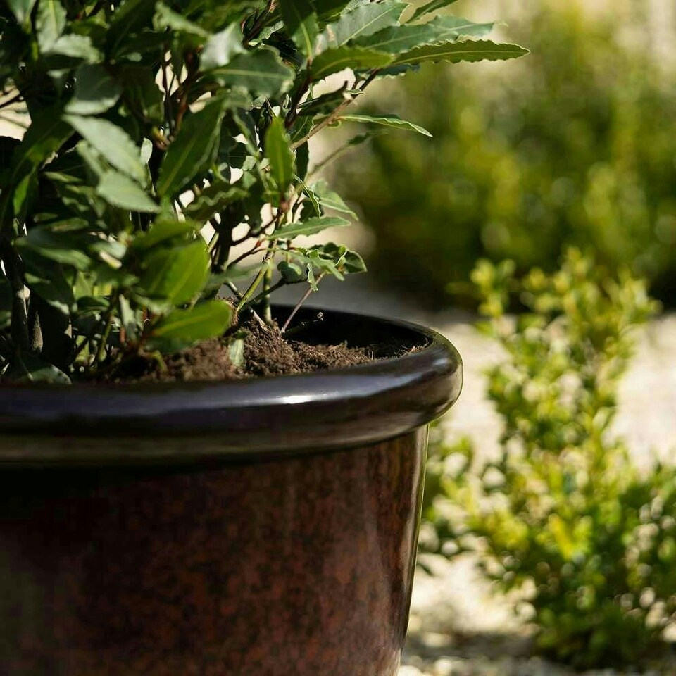 image 1 of Primrose Garden Round Flower Pot Recycled Planter Black 35 x 54 x 54 cm