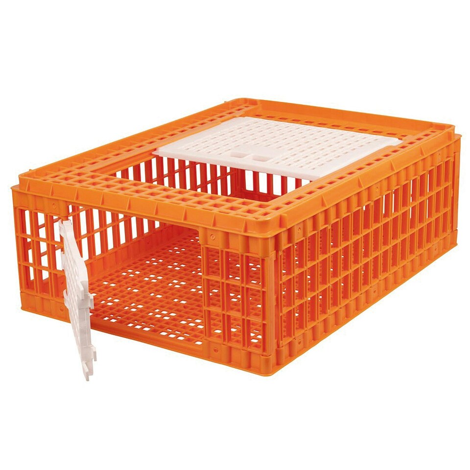 Eton Mini Plastic Poultry Crate - Orange - One Size